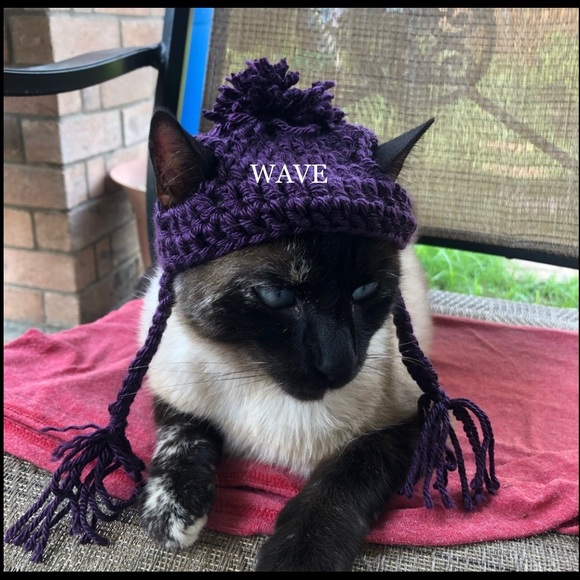 🐈‍⬛🐈😻matching beanie for your cat😽😸pom&braids - Picture 5 of 12
